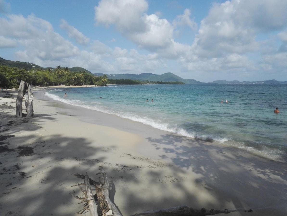 Studio - Le Ti-Colibri - Plages Et Piscine A Sainte-Luce - Martinique - Antilles Dış mekan fotoğraf